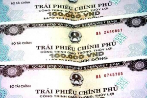 Huy động được 9.380 tỷ đồng trái phiếu chính phủ qua đấu thầu trong tháng 02
