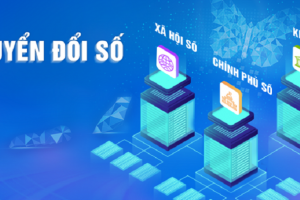 Thành lập 8 ủy ban chuyên môn nhằm hợp lực chuyển đổi số, phát triển chính phủ số, thành phố