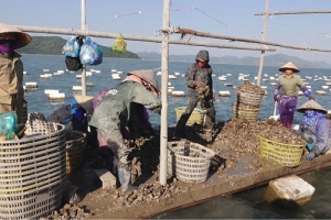 Quan Lạn về đích xã nông thôn mới nâng cao