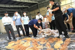 Hải quan TP.HCM bắt giữ gần 45 kg bong bóng cá sửu quý hiếm