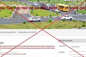 Nhiều website thông tin điện tử về giấy phép lái xe giả mạo