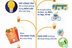 8 cách đơn giản để tham gia Giờ Trái Đất 2022