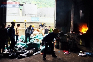 Bình Định: Phát hiện, xử lý vi phạm gian lận thương mại trị giá gần 1,4 tỷ đồng