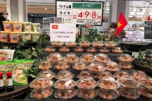 Kinh nghiệm từ việc đăng ký bảo hộ chỉ dẫn địa lý tại Nhật Bản