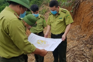 Ban Quản lý rừng ATK Định Hóa chú trọng quản lý, bảo vệ và phát triển rừng