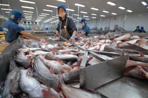 Tư vấn xuất khẩu sang thị trường Hồng Kông