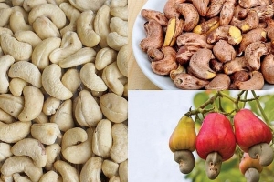 Tháng 03/2022, xuất khẩu hạt điều mang về hơn 240 triệu USD