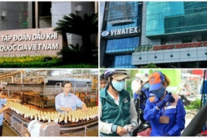 Quy định mới về thành lập, chuyển đổi doanh nghiệp do Nhà nước nắm giữ 100% vốn điều lệ, không thấp hơn 100 tỷ đồng