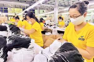 Thúc đẩy cơ hội hợp tác kinh tế, thương mại và đầu tư với châu Âu - châu Mỹ