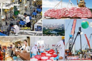 Cơ cấu lại nền kinh tế giai đoạn 2021-2025 từng ngành, lĩnh vực và phát triển nhiều sản phẩm quốc gia