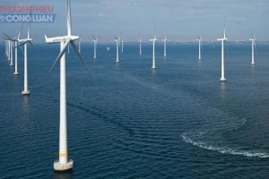 Dự án Trang trại điện gió ngoài khơi tại Bình Định được đầu tư 06 tỷ USD