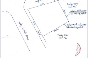 Hải Phòng: Cưỡng chế thu hồi hơn 9.000 m2 đất công ty TNHHTM và dịch vụ Duy Hưng
