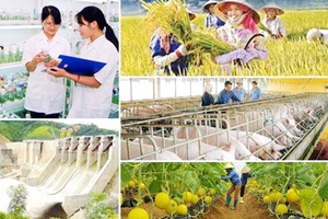 Cần công khai, minh bạch trong thực hiện các Chương trình mục tiêu quốc gia