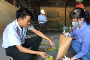 Thanh Hóa tăng cường thanh tra, kiểm tra các cơ sở sản xuất, kinh doanh vật tư nông nghiệp