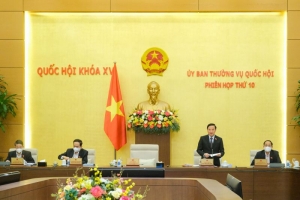 Cần phân định rõ trách nhiệm giữa Thủ trưởng cơ quan quản lý Nhà nước và cơ quan thanh tra