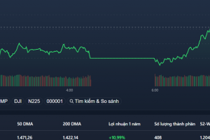 VN-Index lên xuống như “tàu lượn” đóng cửa ở mốc 1.3050,9 điểm