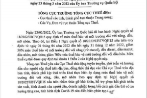 Lũy kế 03 tháng Hải Phòng đã thu nộp vào ngân sách đạt 30% dự toán