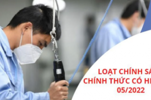Những chính sách nổi bật có hiệu lực từ tháng 05/2022