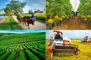 Thanh Hoá khẩn trương giải ngân tín dụng chính sách theo Nghị quyết 11/NQ-CP của Chính phủ