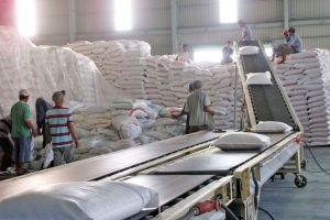 Đẩy mạnh xuất khẩu gạo sang thị trường ASEAN