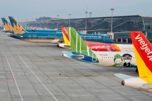 Tăng cường công tác kiểm soát động vật hoang dã tại các cảng hàng không, sân bay