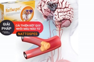 Giải pháp cải thiện đột quỵ nhồi máu não từ Nattospes