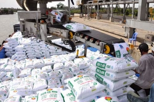 Đề xuất áp thuế xuất khẩu 5% với mặt hàng phân bón