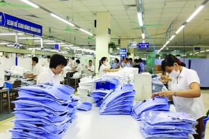 Giao thương trực tuyến sản phẩm thời trang Việt Nam - Nam Mỹ