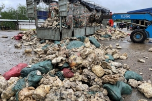 Công an kiểm tra một Công ty cao su ở Thừa Thiên Huế đổ thải ra môi trường