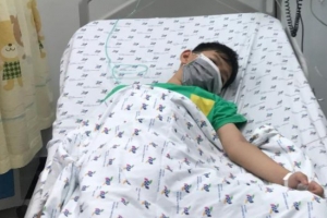Dịch sốt xuất huyết trên địa bàn TP. Hồ Chí Minh rất đáng báo động