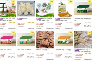 Đồng Tháp hỗ trợ hộ sản xuất nông nghiệp tham gia sàn thương mại điện tử
