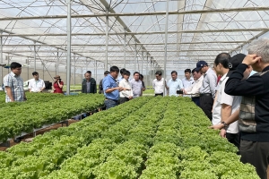 Đồng Nai – Lâm Đồng trao đổi kinh nghiệm về phát triển nông nghiệp bền vững