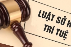 Bảo vệ quyền của chủ sở hữu, quyền lợi của người tiêu dùng