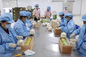 Thông tin cập nhật về quy định xuất nhập khẩu với thị trường RCEP