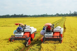 Lời giải cho bài toán vật tư nông nghiệp tăng cao