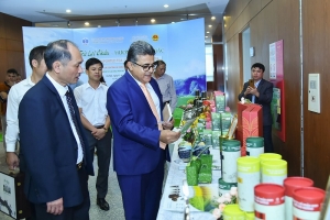 Tăng cường xuất khẩu trà Lai Châu vào Trung Đông, Bắc Phi và Nam Á