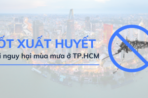 [Infographic] Thành phố Hồ Chí Minh mùa mưa: Phòng ngừa nguy cơ dịch sốt xuất huyết