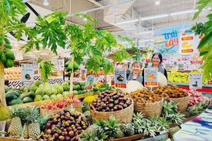 TP. Hồ Chí Minh: Kết nối cung cầu sản phẩm nông nghiệp lên sàn thương mại điện tử