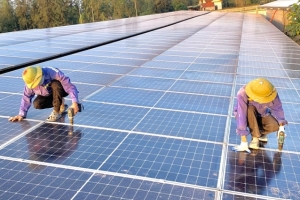 Điện lực Hà Tĩnh: Từ đầu năm, thu mua hơn 66 triệu kWh điện mặt trời áp mái nhà
