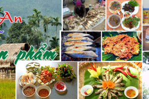 Nghệ An có 63 sản phẩm OCOP từ 3 sao lên sàn thương mại điện tử