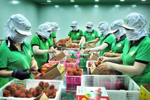 Thúc đẩy giao thương giữa các địa phương Việt Nam và Nottingham - Anh