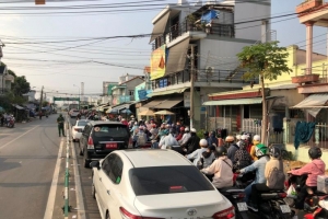 5 phương án xây cầu thay phà Cát Lái