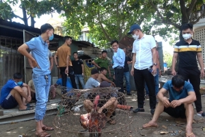 Vây bắt 29 đối tượng liên quan đến đá gà ở phường Vỹ Dạ (Huế)