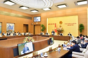 100% Ủy viên Ủy ban Thường vụ Quốc hội biểu quyết đồng ý chuyển mục đích sử dụng rừng, đất rừng và đất trồng lúa nước cho cao tốc Bắc - Nam