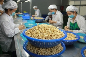 Hỗ trợ các địa phương, doanh nghiệp xuất khẩu sang thị trường Algeria