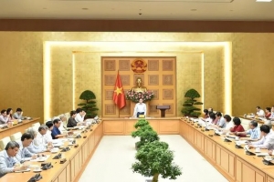 Nghiên cứu các phương án giảm thuế để hỗ trợ người dân, doanh nghiệp