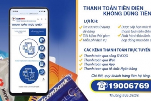 Tỷ lệ tiền điện thanh toán không dùng tiền mặt toàn EVN đạt 96,97%
