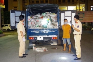 Hải Dương tạm giữ hơn 04 tấn chân gà không rõ nguồn gốc