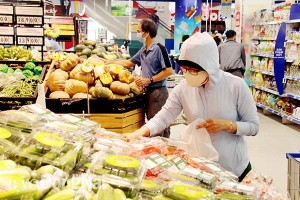 Thị trường bán lẻ của Việt Nam hấp dẫn nhà đầu tư nước ngoài vì doanh số tăng trưởng cao