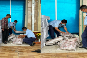 Phát hiện 400 kg thực phẩm đông lạnh không rõ nguồn gốc, xuất xứ